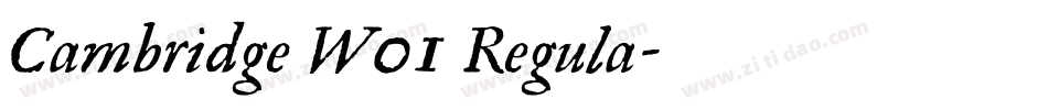 Cambridge W01 Regula字体转换